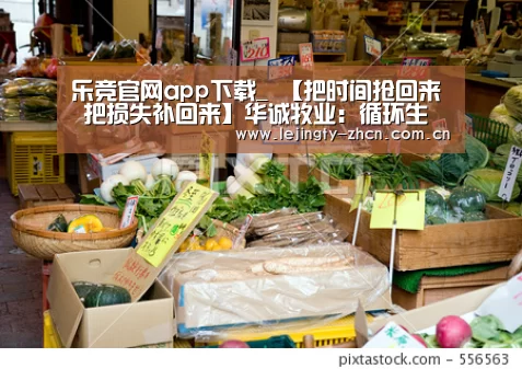 乐竞官网app下载