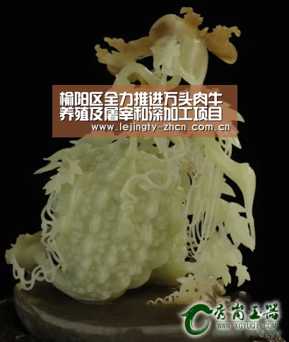乐竞官网登录入口