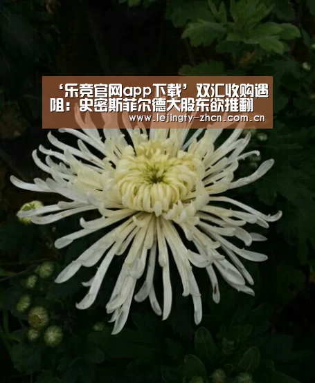 乐竞体育数据平台